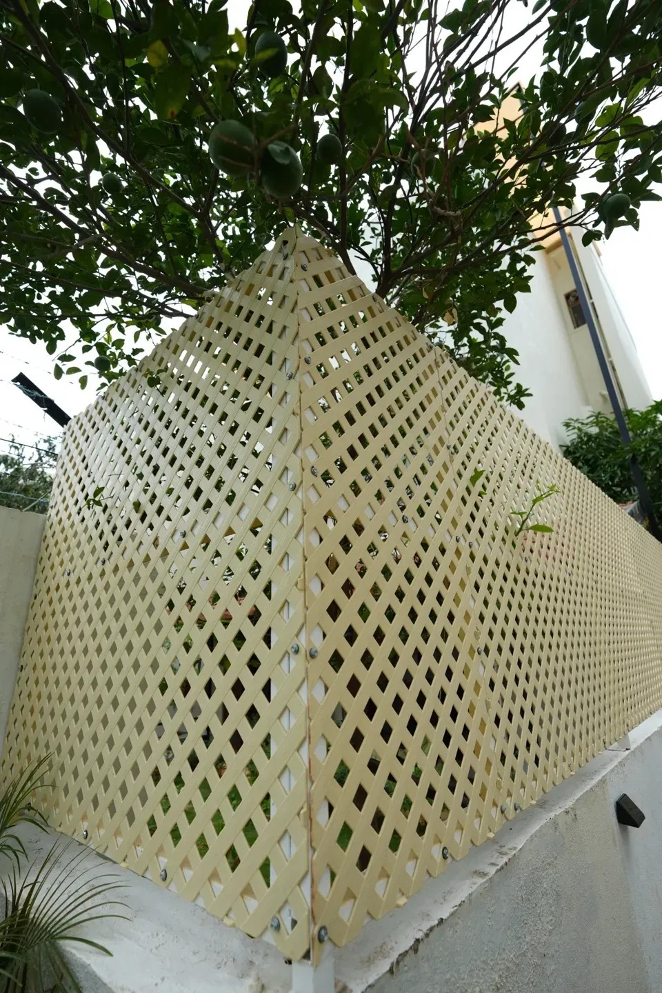 Portrait view looking up at pale lattice panels wrapping around a garden boundary wall