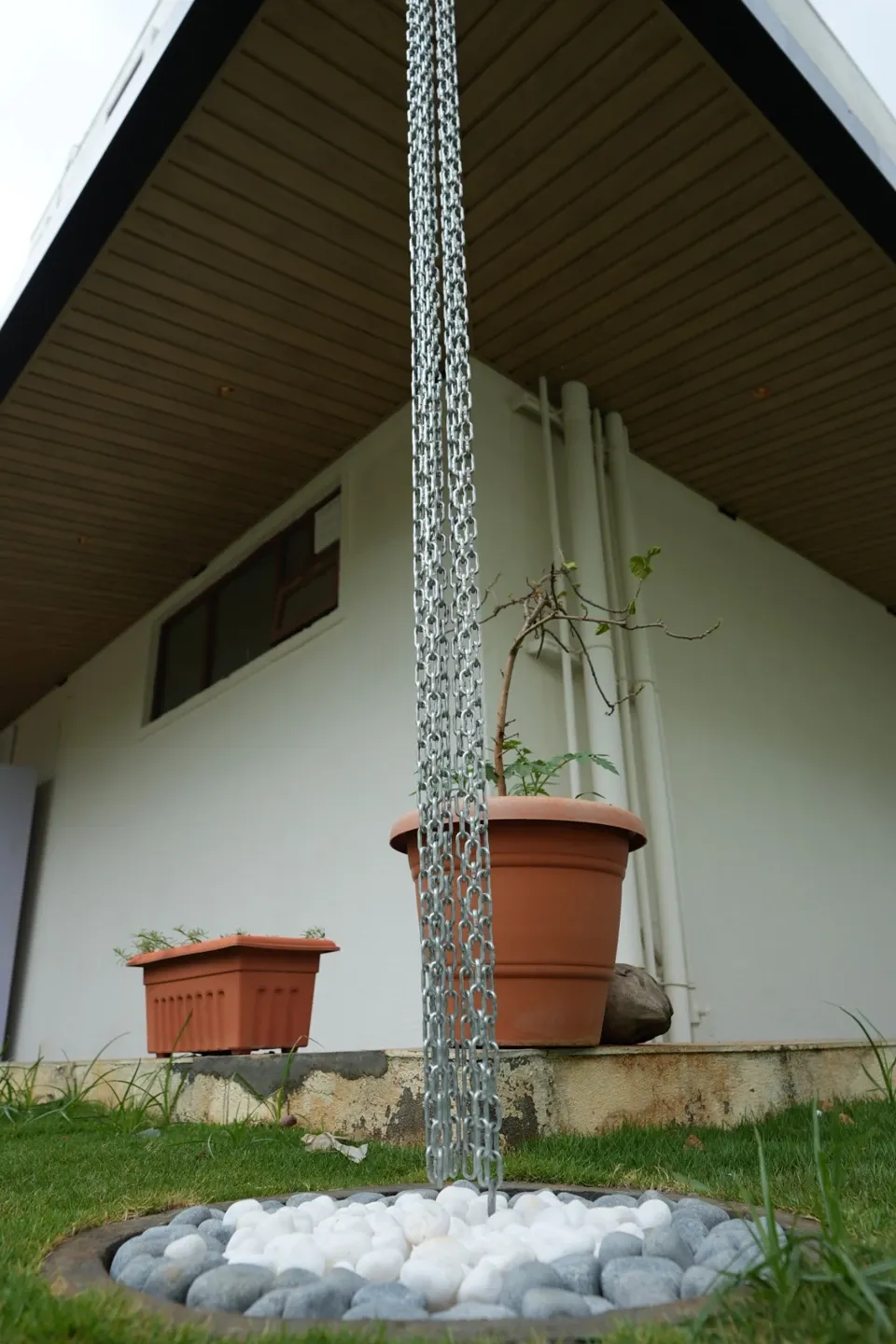 Portrait view of a rain chain descending from the canopy to a pebble circle beside the lawn