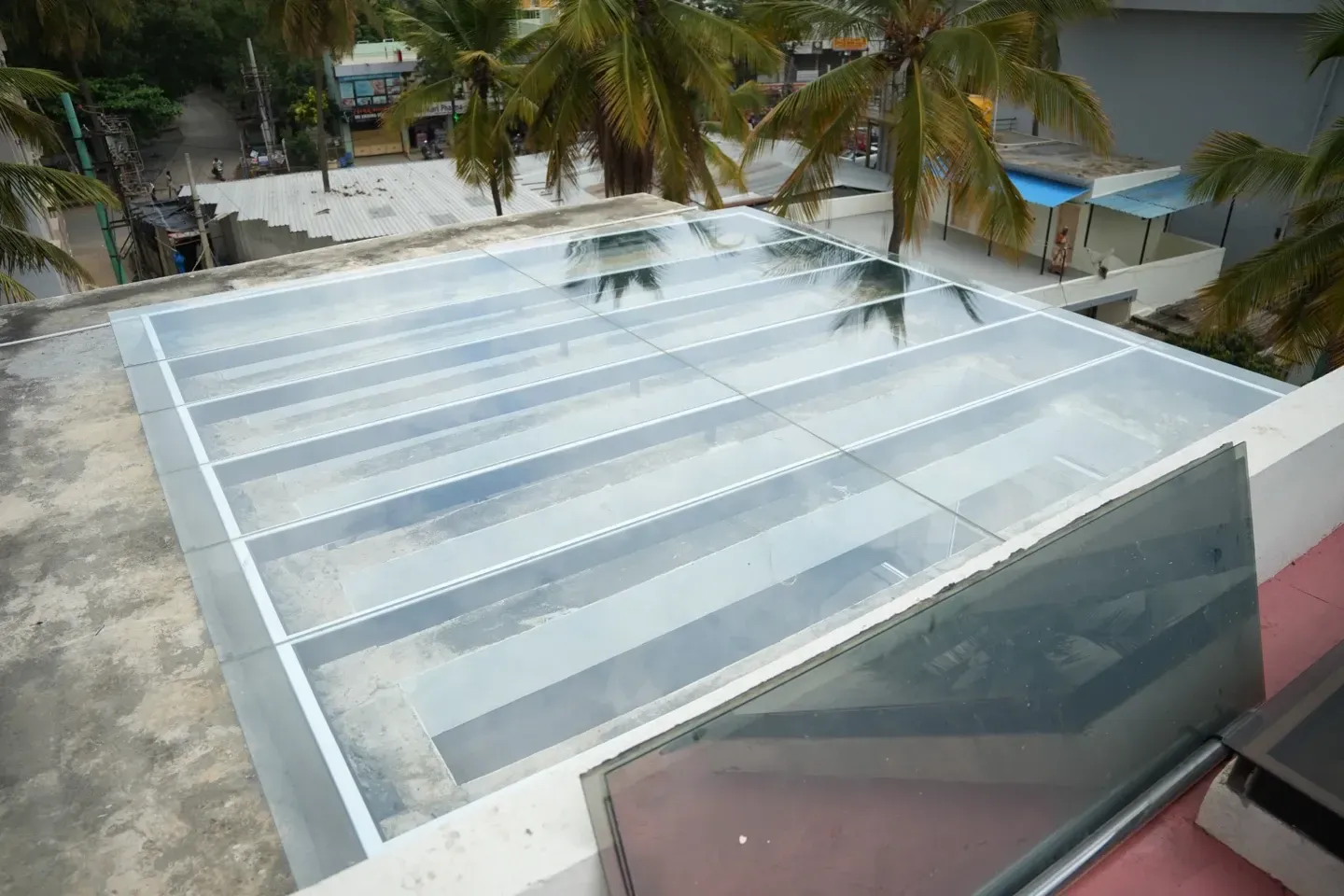 Overhead view of a glass roof with pale metal framing and palm trees beyond